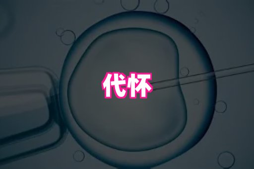 821孕网 4